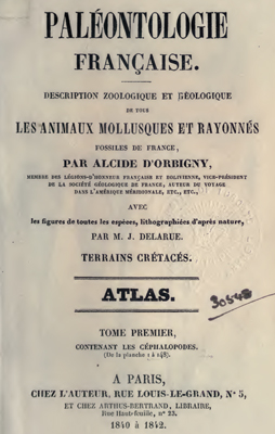 Orbigny  A. Paleontologie francaise. 