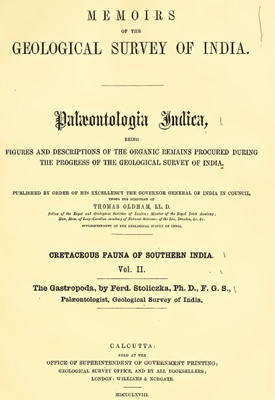 Stoliczka F. Cretaceous fauna of southern India.